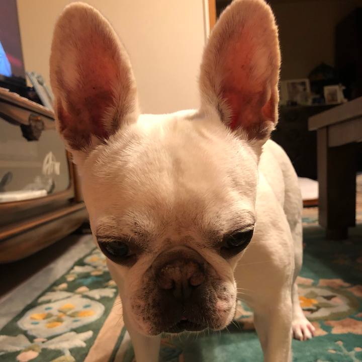 92318aae 54c2 489e 890b a7a4f0bdfc70 1655984555164