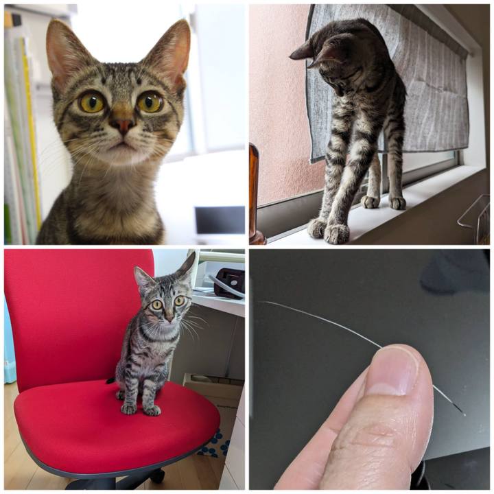 9231c329 7af8 4d47 b73b b6a8ae2b7a02 1705635532688