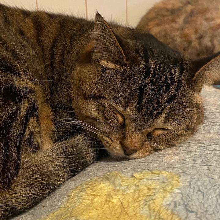 9231cd2a ce0a 4254 9b10 383a3c3af4a1 1582632067920