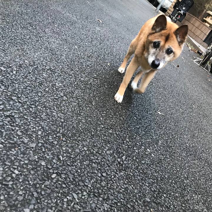 9231d714 1c4b 4a6c 9ce9 b7bba3acfa26 1542233336393