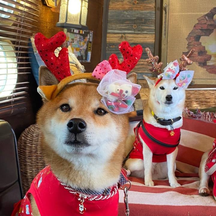 923216ed c9b7 48fa 8bae 095d3a3e50d6 1640526318681