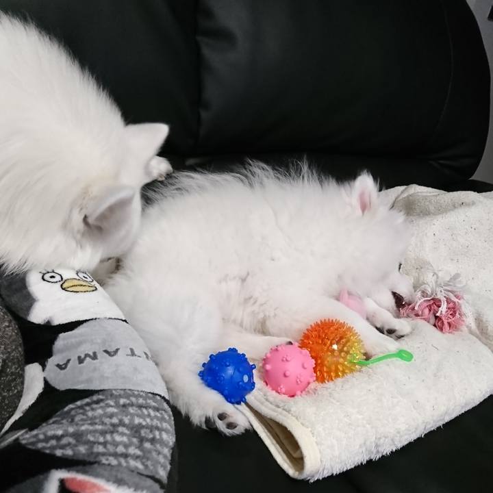 92322b91 28ed 45b7 a32d cceb325fbb7d 1547992588245