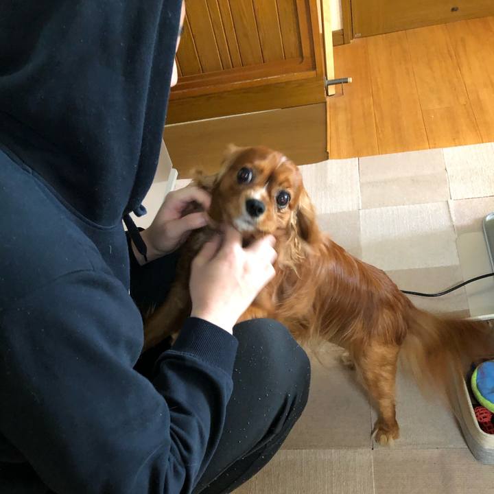 92325958 62b7 49bd 964c 0bf07626f3f8 1555109434456