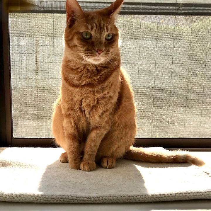 92329426 dd3b 43ca a235 a9e6aeb84b6f 1576134597369