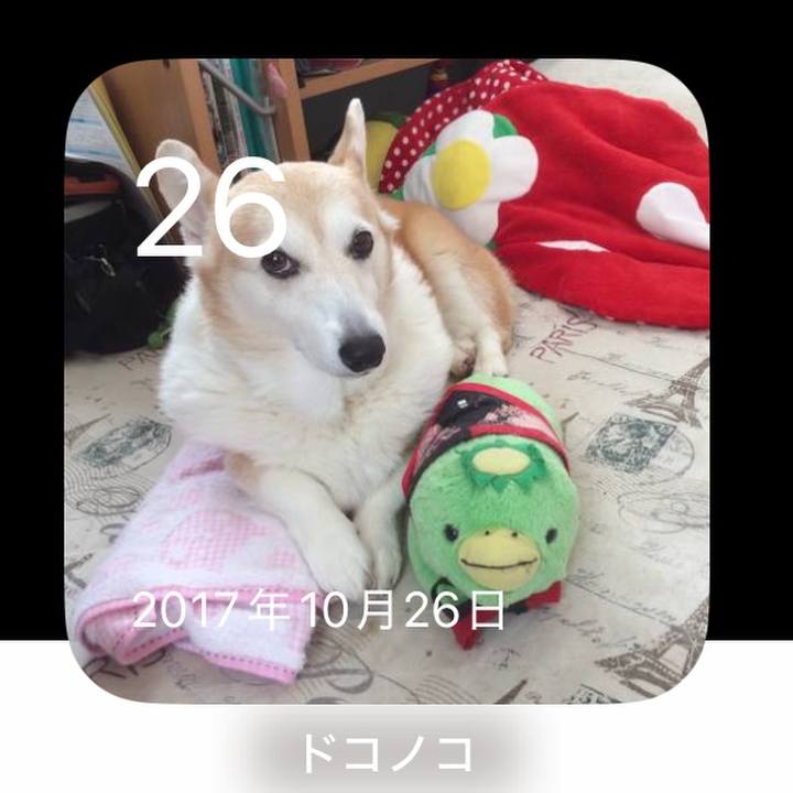 9232bfba 5b99 4798 88b6 279c0679215c 1761470142243