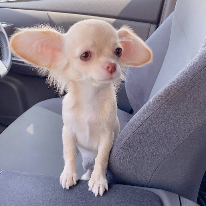 9232cc06 b754 4e04 b29a 27bf696830e7 1596956649469