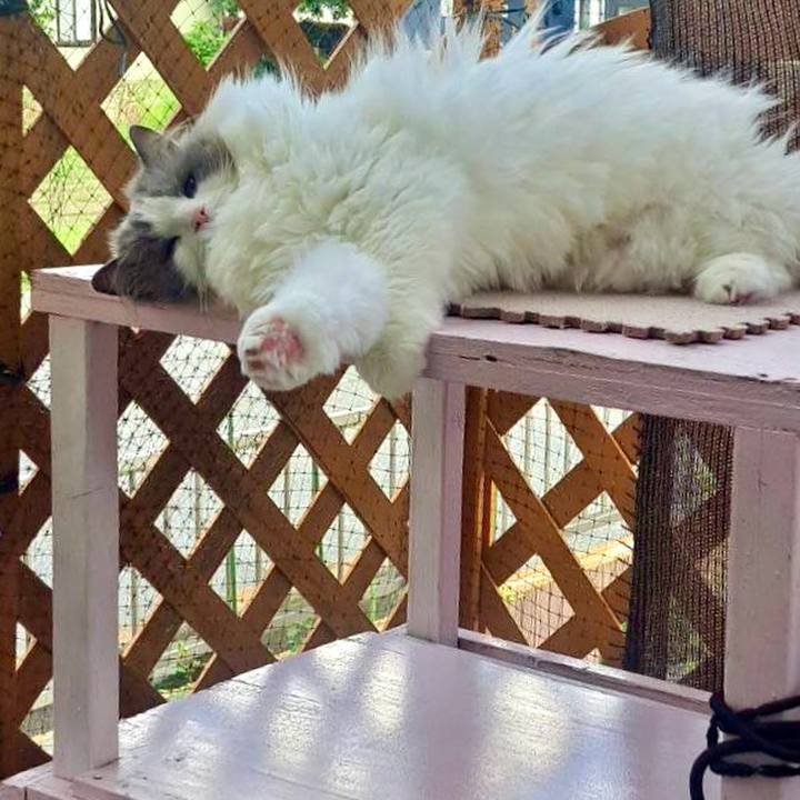 9232d5ed dcab 4191 b14d 2801ca33c5bf 1749070702342