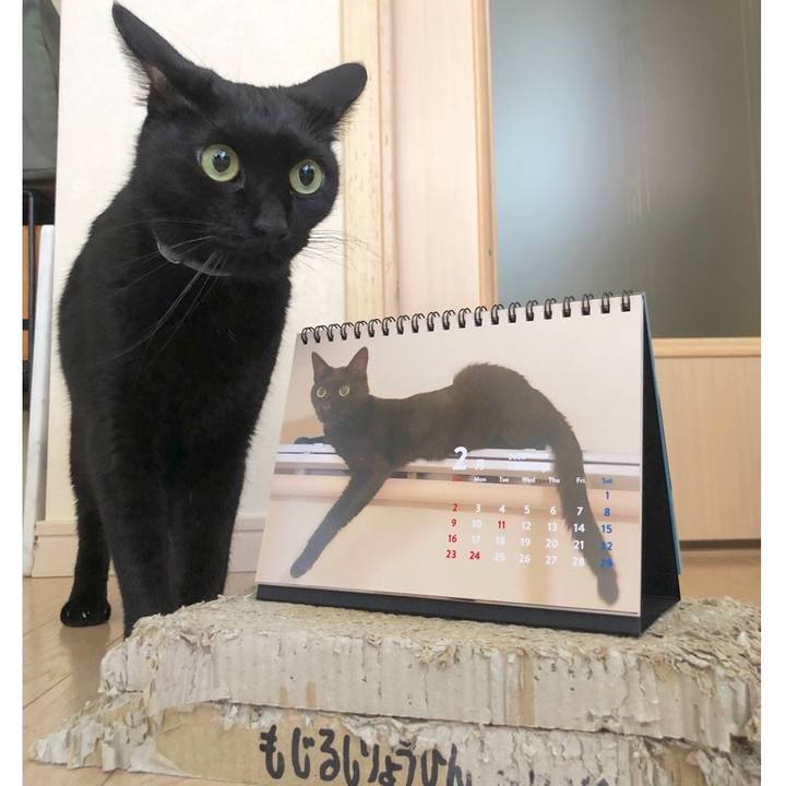 923307b1 1ec5 4880 8925 3d505662f41d 1580952775680