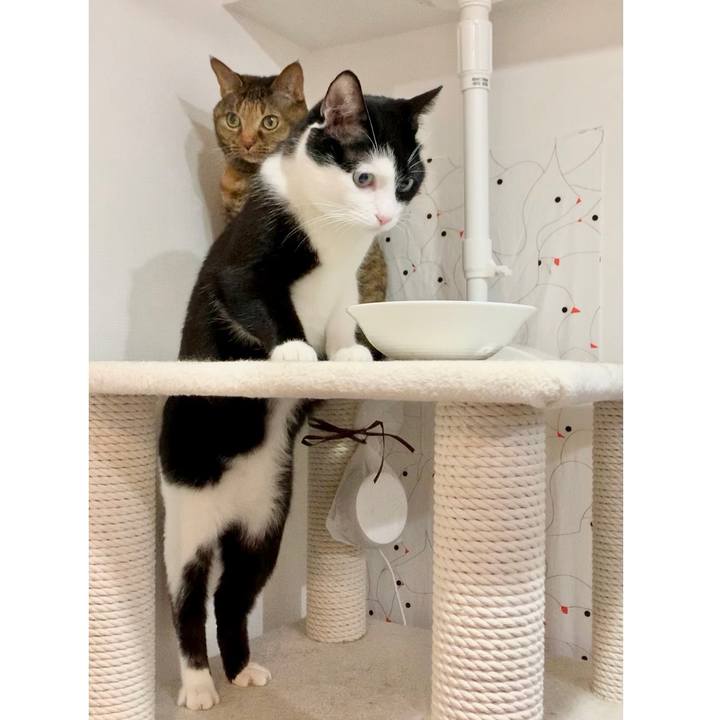 92332377 fde7 4f63 abd1 de6e11f7dac1 1616808205557