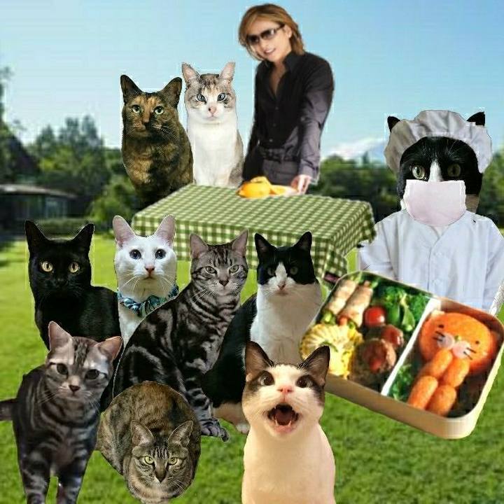 92332388 4c10 479a 9ce3 f8cbae0ddea7 1557670516238