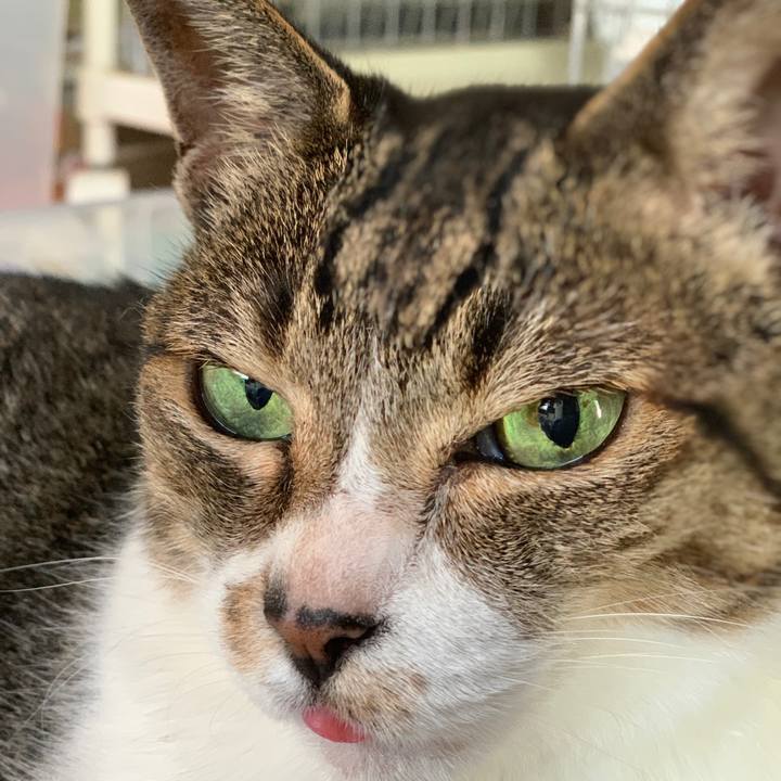 92334b6e 2a7a 4c09 9cb8 40513e3de31e 1598059736336