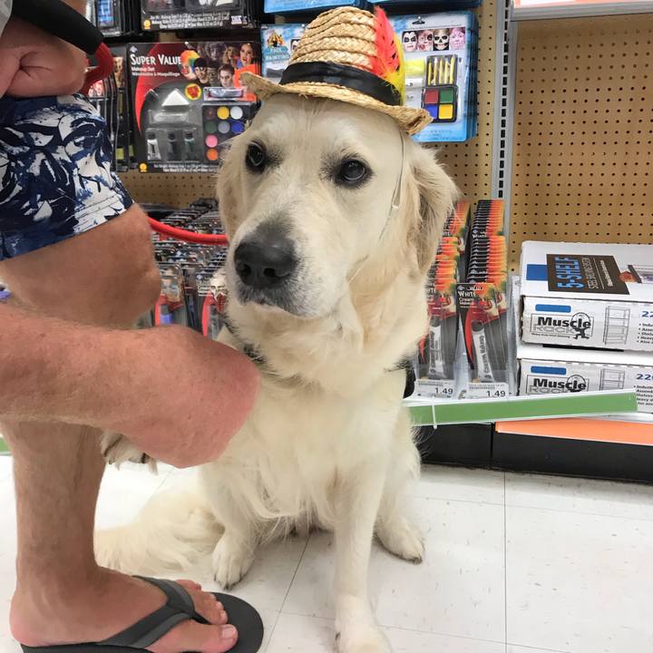 92335b74 309e 4095 b25d 0ca08c97aea6 1539061464072