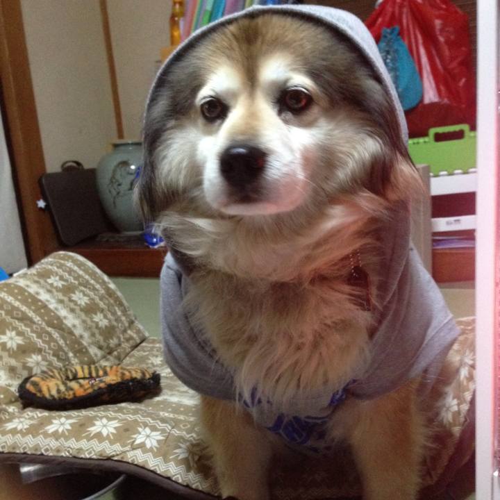 92335b87 3eaa 4a6b ad54 c425dca1aae4 1570575920880