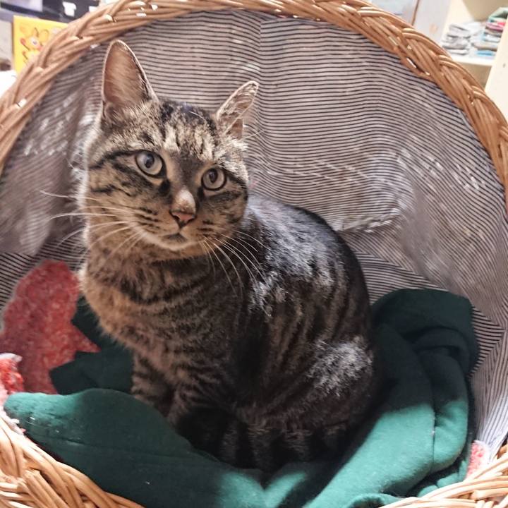 9233736c 03a3 4ada aef3 2ee525248344 1640863945306