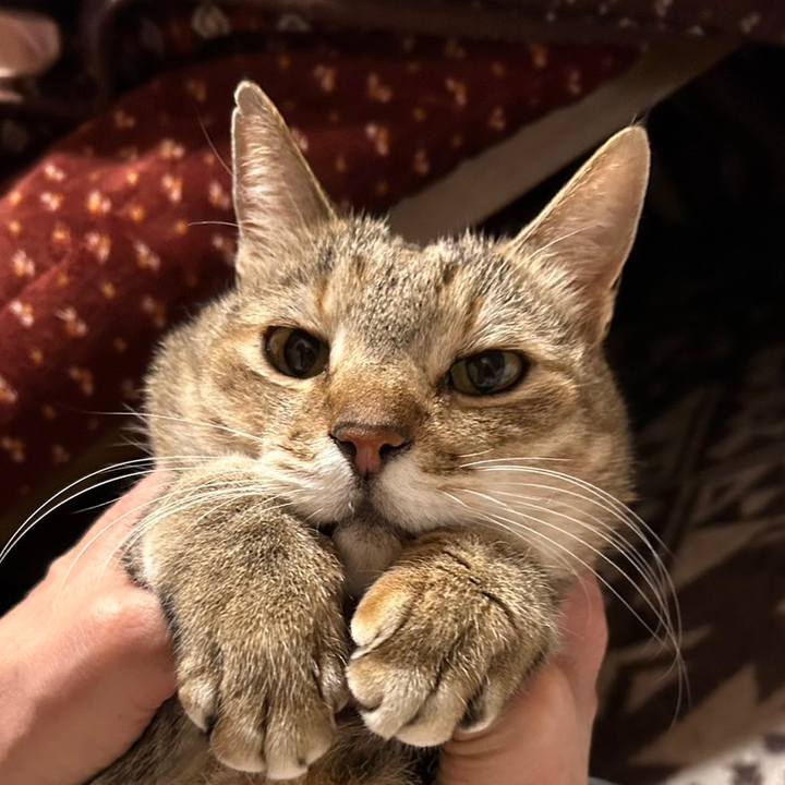 9233b9e3 88c5 4e7c a2ad 0e72100efa2c 1708843269171