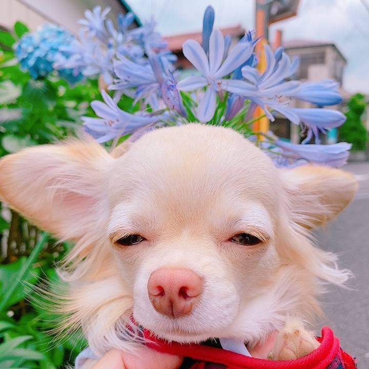 9233d841 a0c4 440d a1de 0026fffdfe16 1624618310634