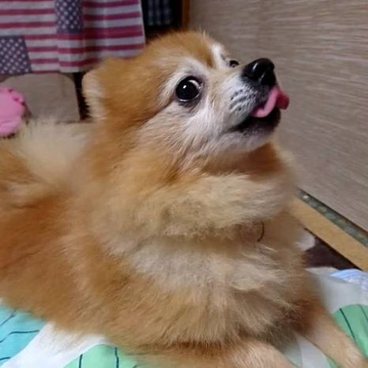 9233ddee 5c89 4c00 a844 216bc680bbaf 1507902099127