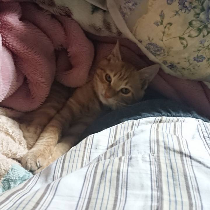 9233e260 1e9e 42f5 897d 2dd562efe2c8 1634242898447