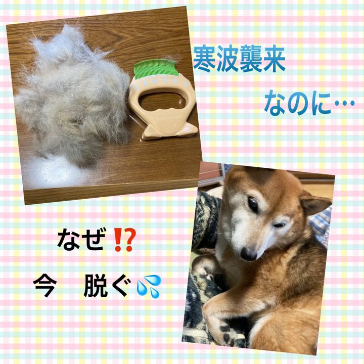 9233eac9 8fc8 40df af51 404e9e7897f0 1671753883447