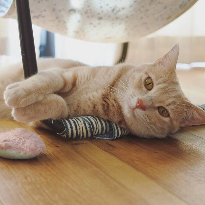 9233f07e e555 4e49 8ad4 e565f7443f4b 1597580121038