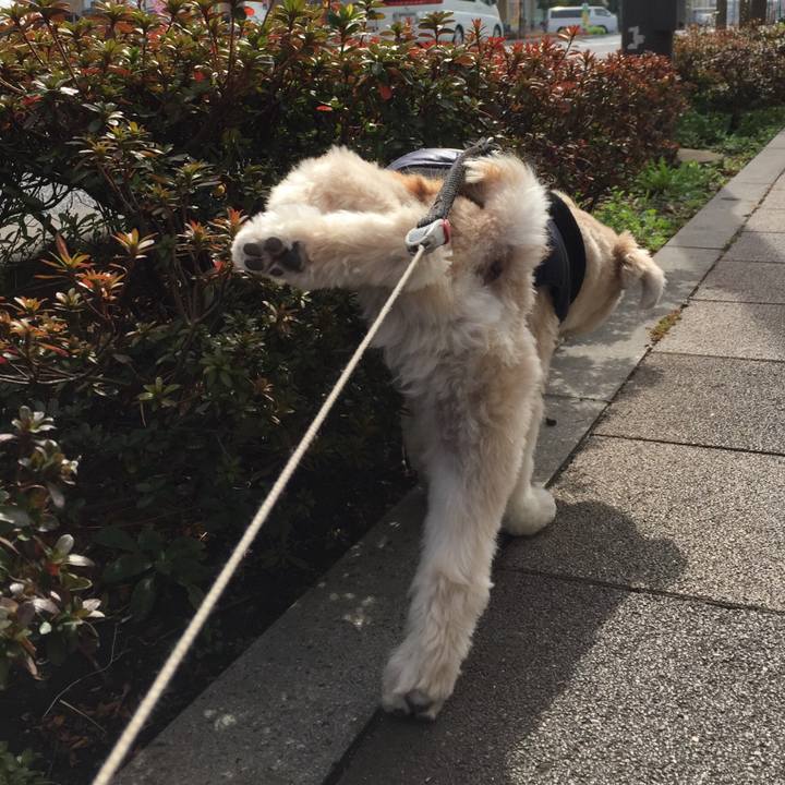 923416d0 29d3 4e9f a74b 8a125020360f 1552191914466