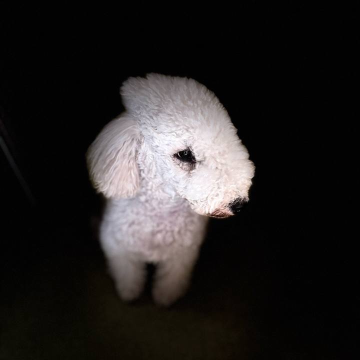 923429ec 3816 4bb7 93bb 475bada4ab09 1729506973603