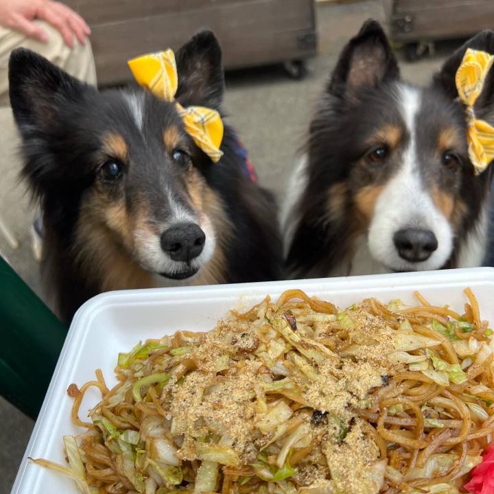 92344ac6 6c43 4245 845e f8623f4468e7 1668623118656