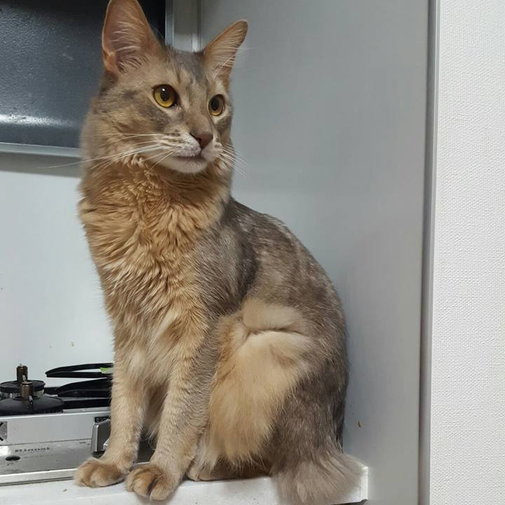 9234554f fdaf 4d78 b3b0 58aaefd12123 1555686752533