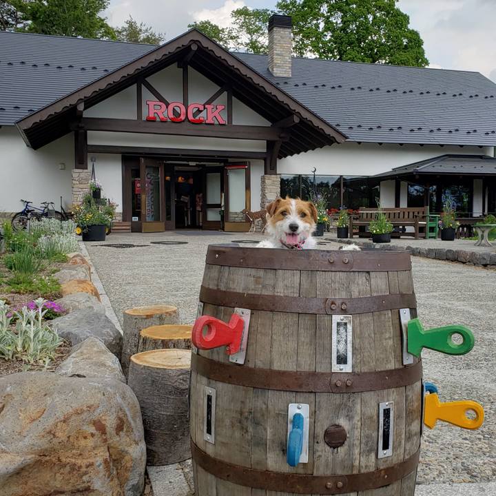 9234624c feeb 4ec5 9259 52a8a002ae5b 1559544310566