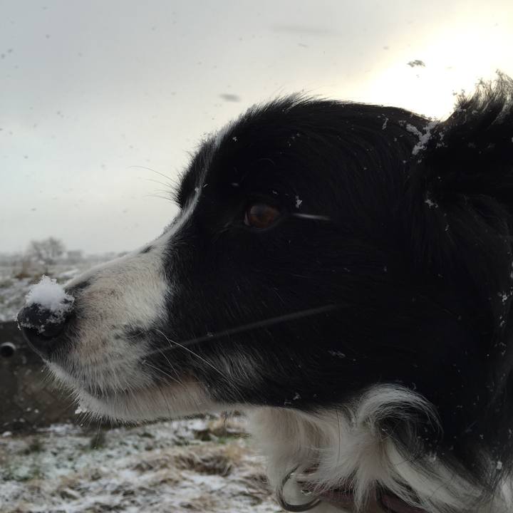 92346d5f 34e1 4ff1 a96e a4933fe41ccb 1516751226621