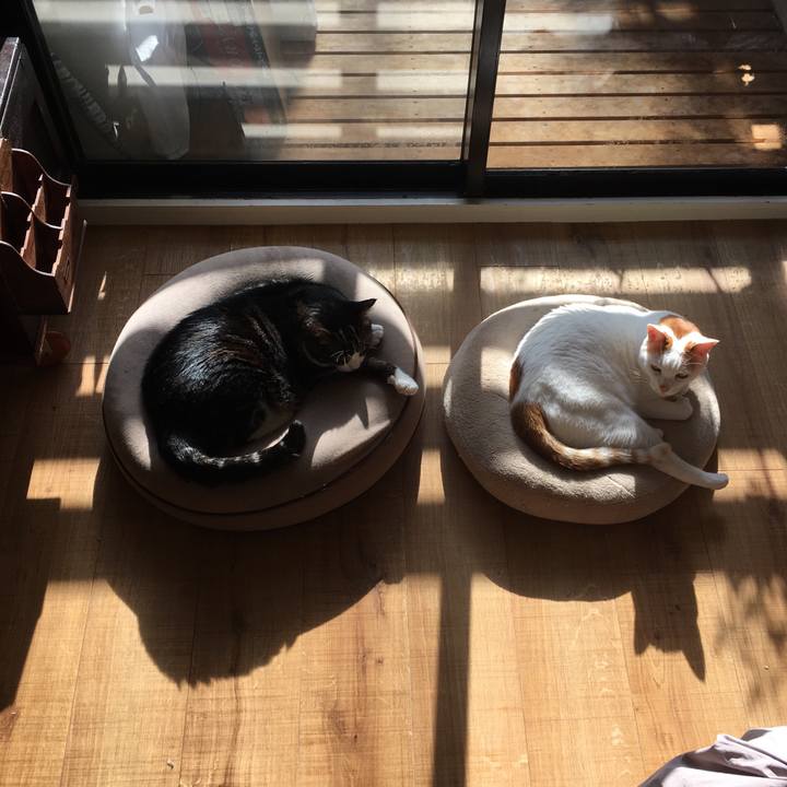 92347f33 aa6a 4758 867f a23224c1359e 1549760891836