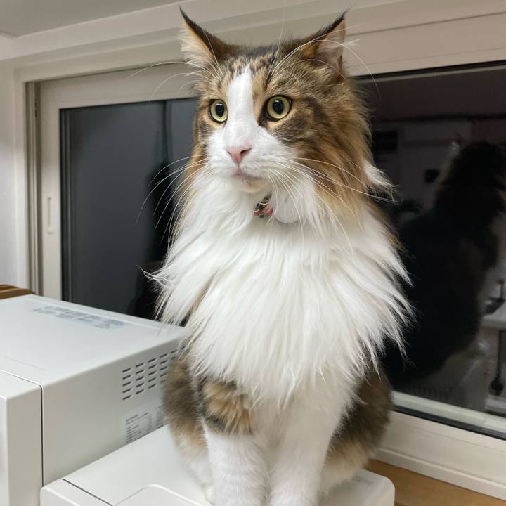 92348f43 17e5 4330 97d5 324553cc2b93 1696273485727