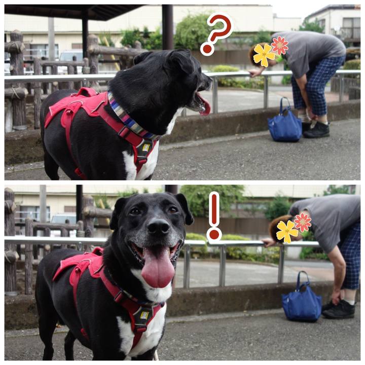 9234a5b5 832a 48fc 82f2 ae2ab37e3695 1658791240667