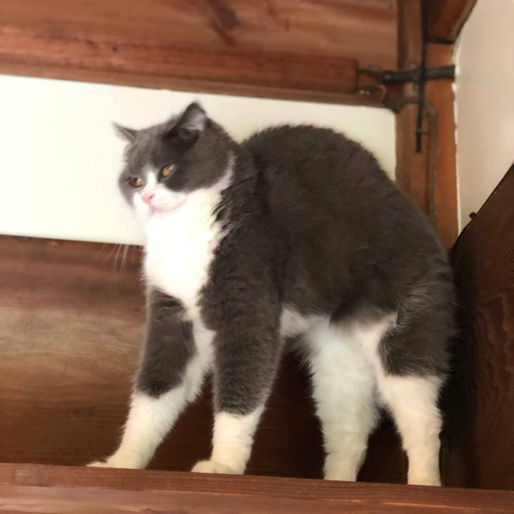 9234ac1f e7d1 463b a01a 33468a14b28c 1560640909025