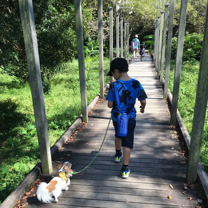 9234bf64 85ac 402a 8283 ced6e7e1c298 1568539171728