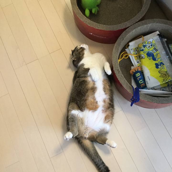 9234ee45 a9aa 404c a4fa 75c117214bd7 1546134923971