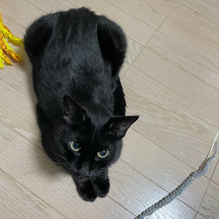 9234f584 4fee 4d0b 9a7f 74b68577c053 1670509578215