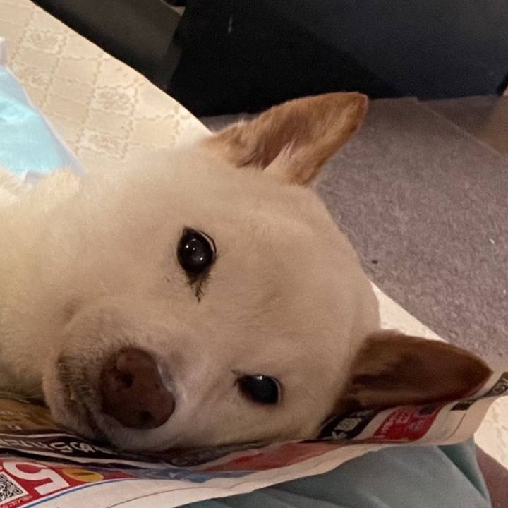 923538c3 0ccb 424b ab7c 85563a1d441a 1667617940665