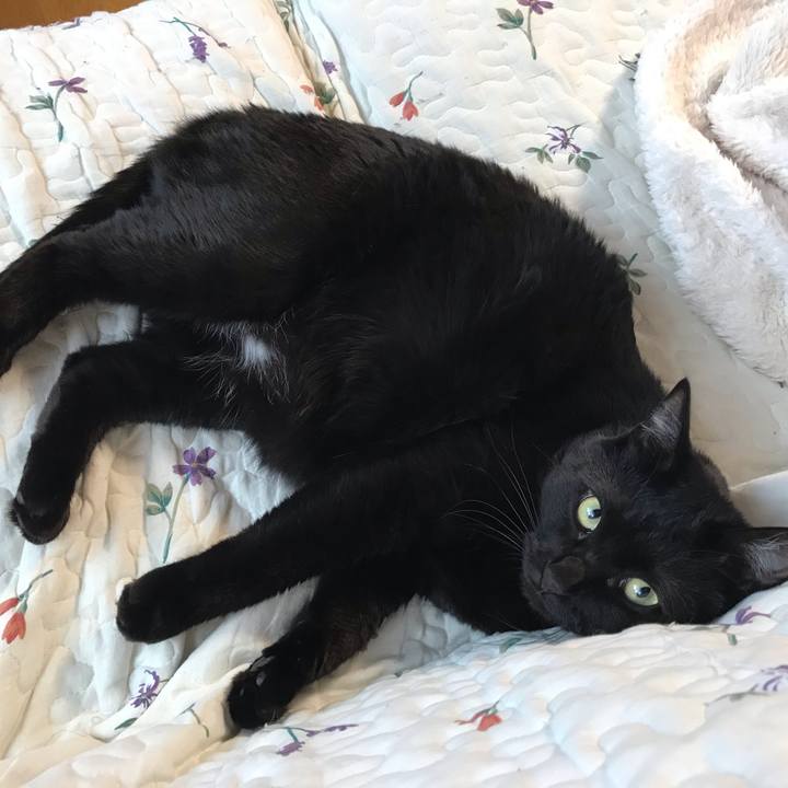 92353d2d 1fda 470e a367 66914b24924a 1608418528542