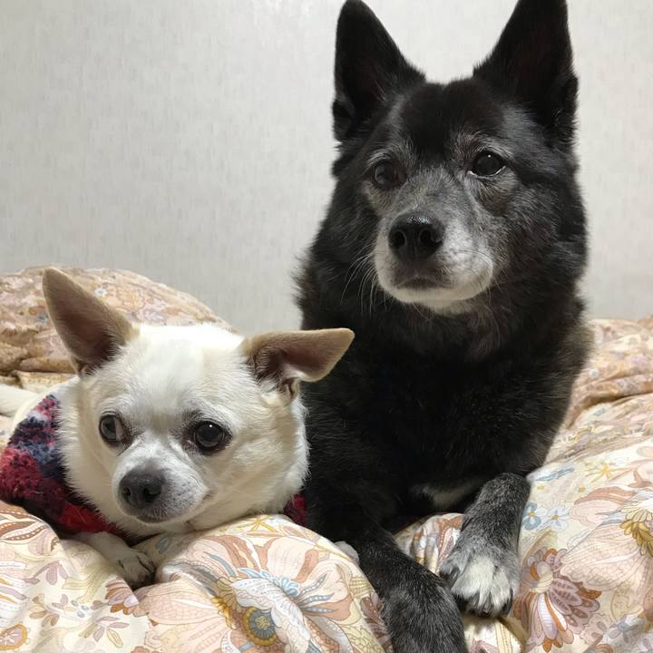 923552d9 0342 4952 88c8 9b3f796e0abf 1575378262943