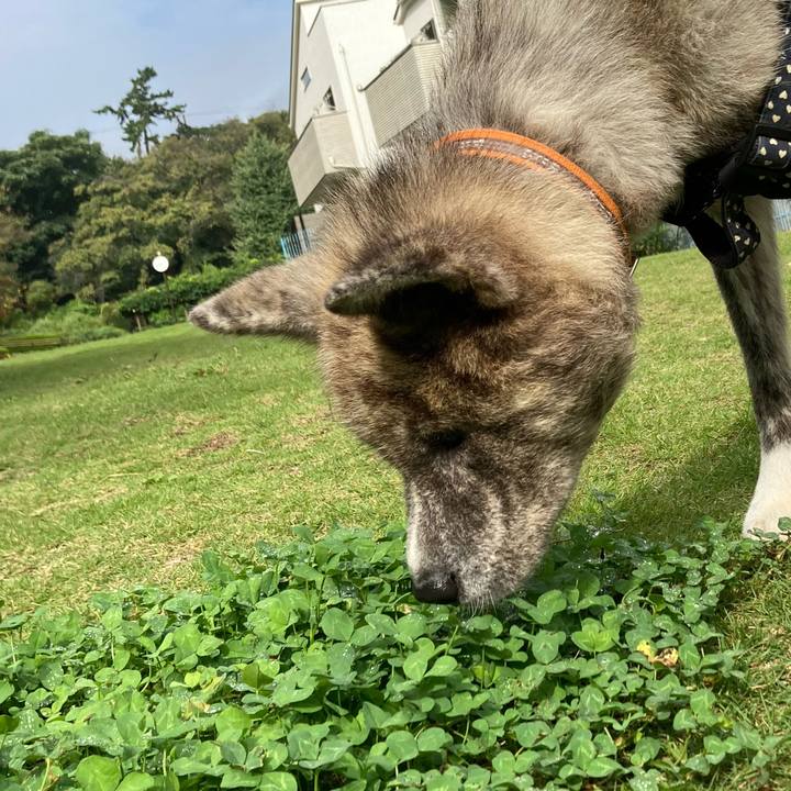 923572c0 dfcc 41c0 b5b0 b90fa4bbd2b0 1633319610963