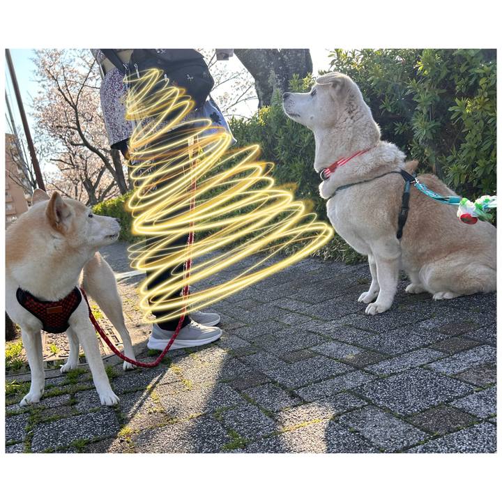 923591cd a3c4 4bf1 909f 8105de4a5a53 1775182117730