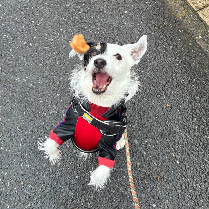 9235a647 c5ef 4438 9fbc 63d219f5ba9d 1766534200691