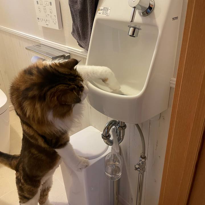 9235ccef 39f2 46b6 8eb1 97a55a7fe017 1754602828445