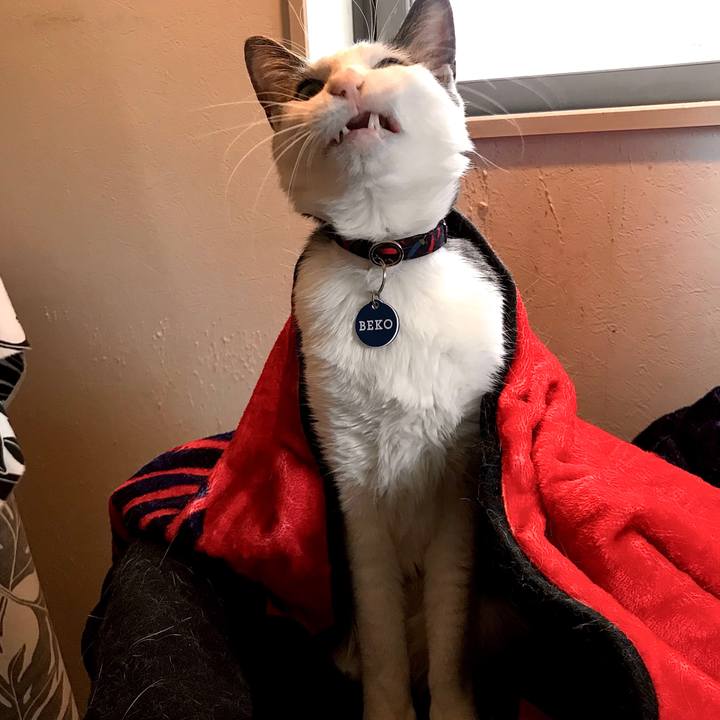 923612d7 d410 4311 8dff 49d3e5a86ad6 1584191124164