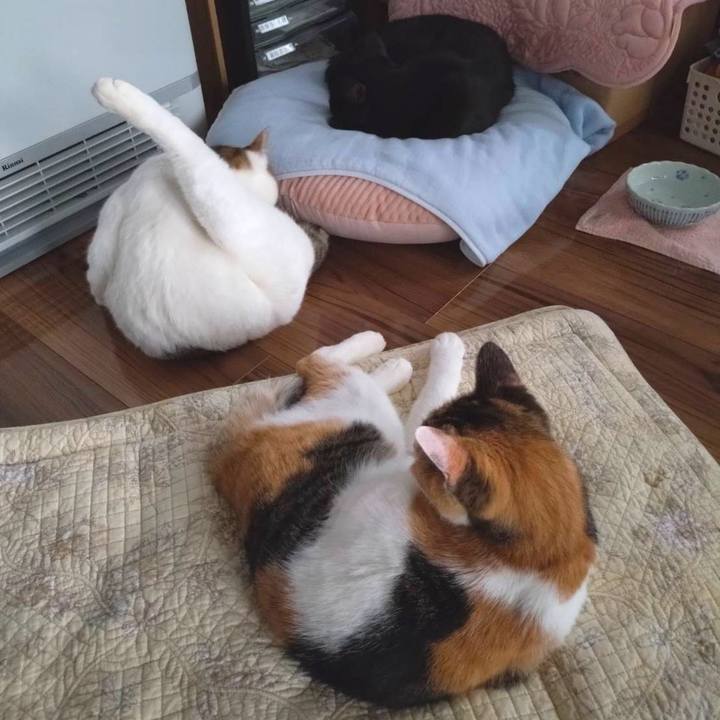 92363df5 f062 4bc4 bede c61460063ecb 1763718015633