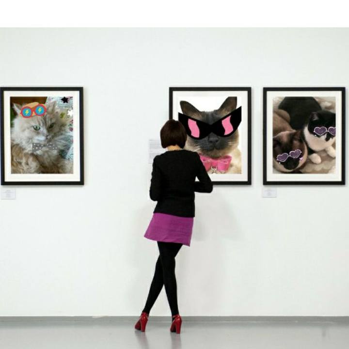 923645c3 1bbe 45d1 bf98 cbc19701164c 1554281387681