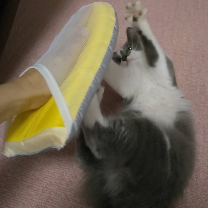 92365238 211c 4ac0 a04e 33b469a66a48 1566696402429