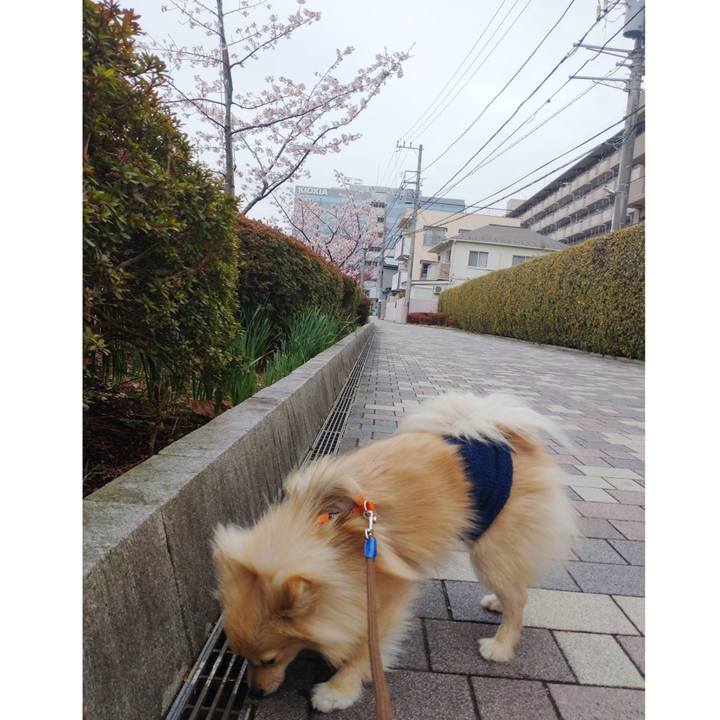 92369789 02d2 4679 9fa8 8d10a1613164 1741249652907