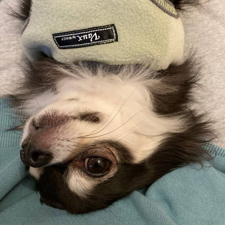 9236c5c3 d8f7 4c7d 9607 f612adc56ff3 1705837801746